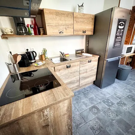 Apartmán Nouveau - Schmoutzi & Schatzi - En Hypercentre Avec Parking *
