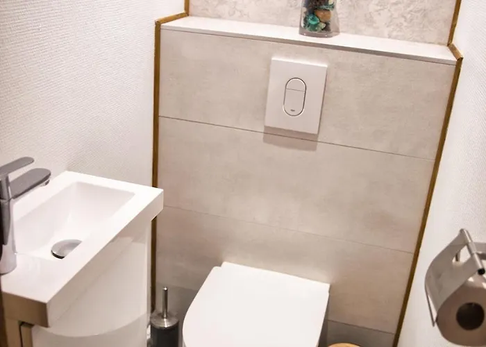 Nouveau - Schmoutzi&schatzi - En Hypercentre Avec Parking Apartment Colmar