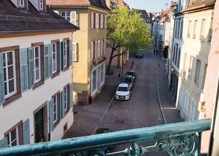 Nouveau - Schmoutzi&schatzi - En Hypercentre Avec Parking Apartment Colmar
